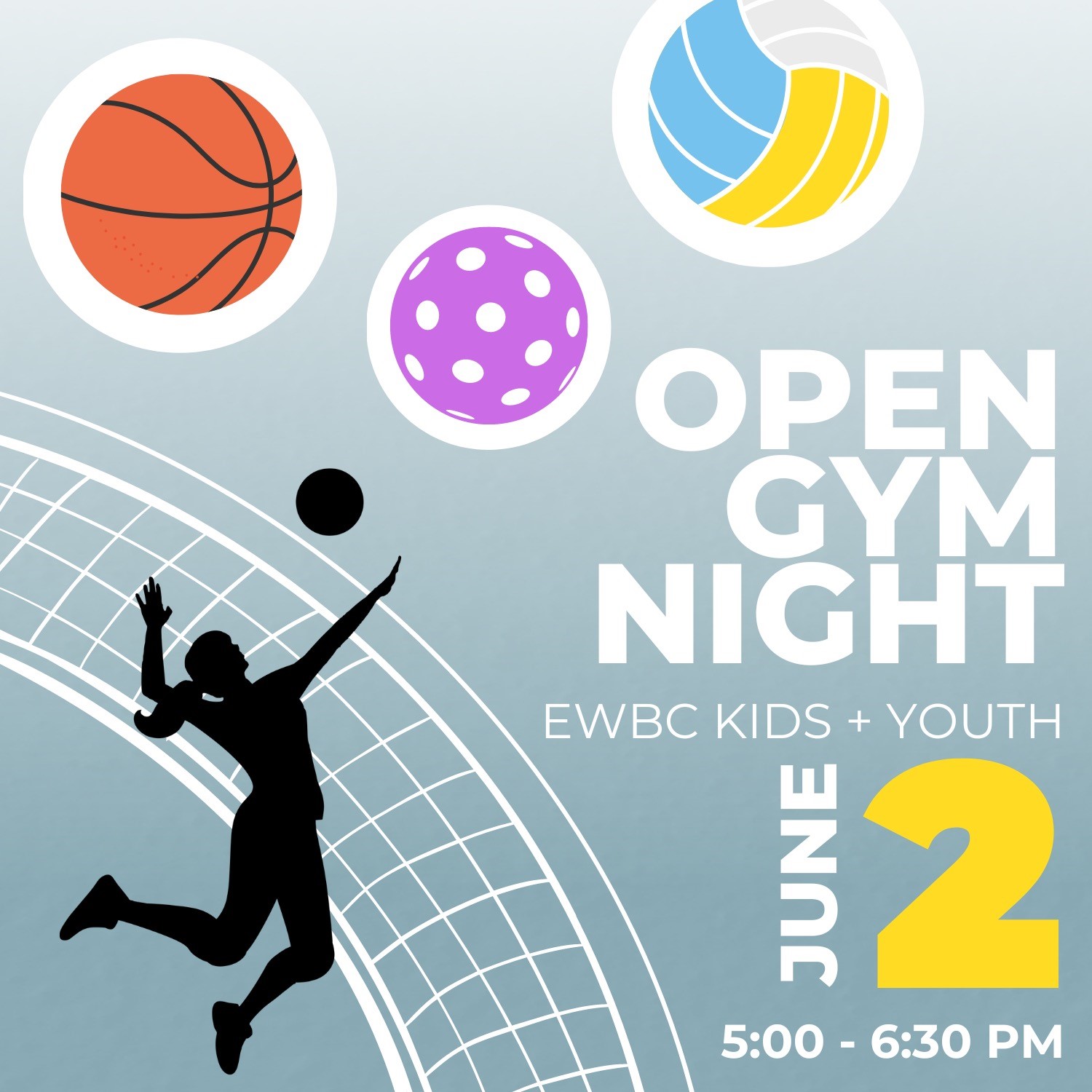 Open Gym