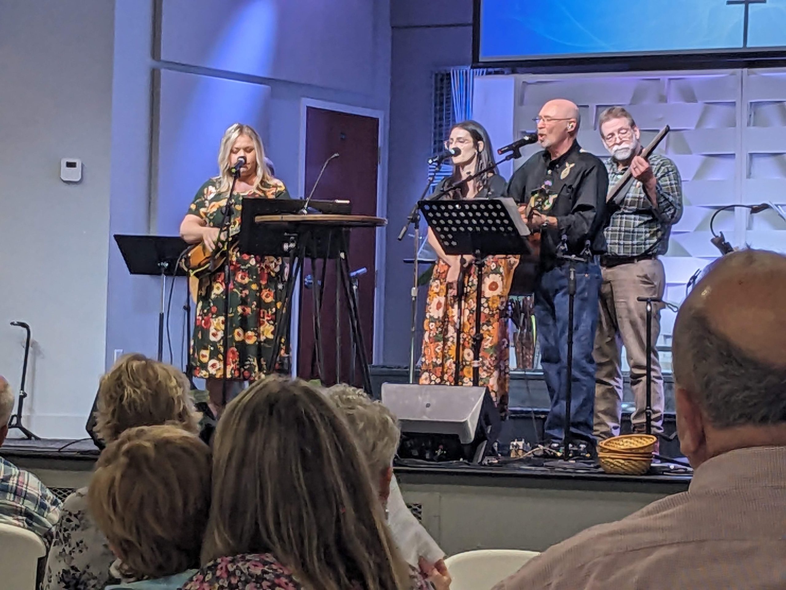 bluegrass